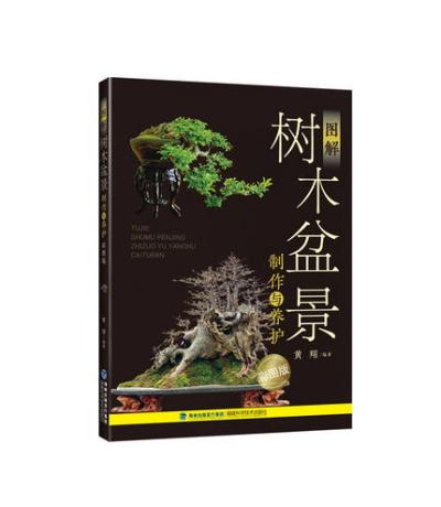 Dľ辰cBoʈD棩